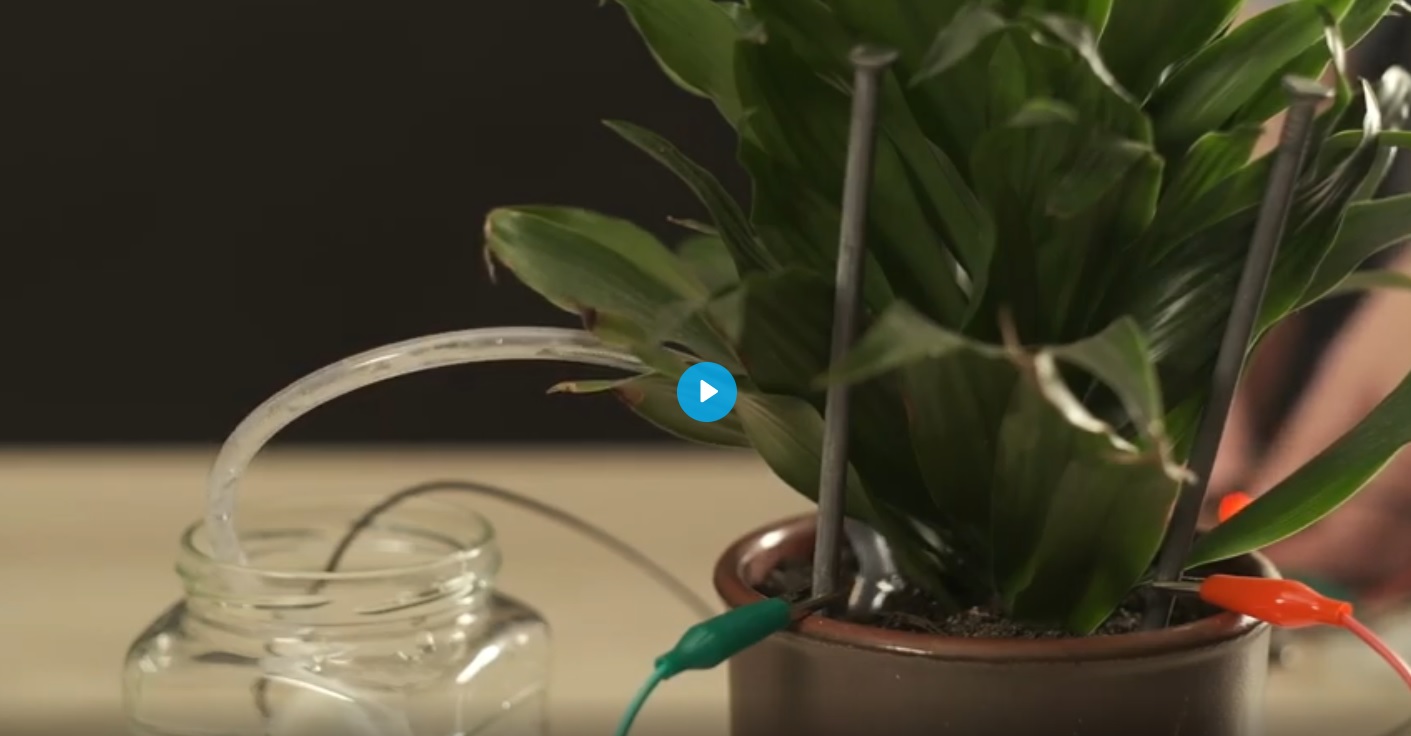 Python пројекти